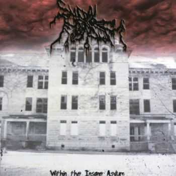 Suicidal Nihilism - Within The Insane Asylum (2011) (LOSSLESS)