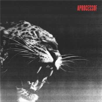 A Process Of - A Process Of (2015) A Process Of - A Process Of (2015)