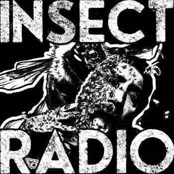 Insect Radio - We Are Trouble (2015)