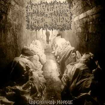 Swarming Vulgar Mass Of Infected Virulency - Underground Morgue (2015) Swarming Vulgar Mass Of Infected Virulency - Underground Morgue (2015)