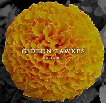 Gideon Fawkes - Marigold (2015)