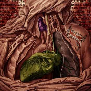 Fetus Slicer - Demo (2015) Fetus Slicer - Demo (2015)