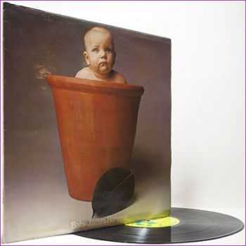Barclay James Harvest - Baby James Harvest (1972) (Vinyl)
