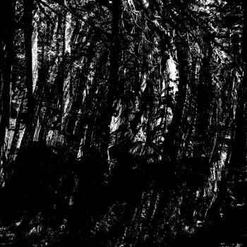 Skull Incision - Vemödalen (2015) Skull Incision - Vemödalen (2015)
