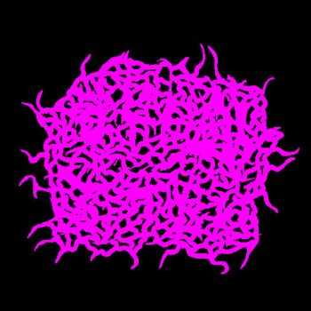 Offal Stew - Minced Meat (Demo) (2015) Offal Stew - Minced Meat (Demo) (2015)