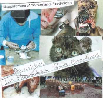 Slaughterhouse Maintenance Technician - In Animalities Gone Unnoticed (Demo) (2015) Slaughterhouse Maintenance Technician - In Animalities Gone Unnoticed (Demo) (2015)