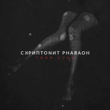  feat. PHARAOH    (2015)