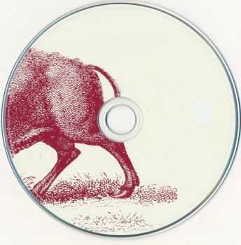 Foo Fighters - In Your Honor (2 CD 2005) Foo Fighters - In Your Honor (2 CD 2005)