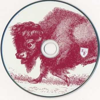 Foo Fighters - In Your Honor (2 CD 2005) Foo Fighters - In Your Honor (2 CD 2005)
