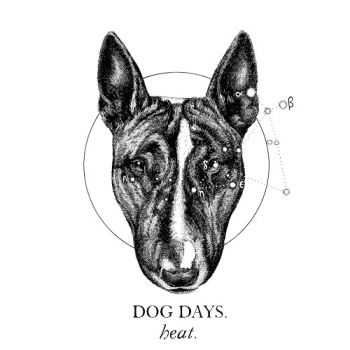 Dog Days - Heat (2016)