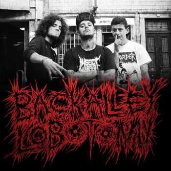 Back Alley Lobotomy - Crack In Lapa (Demo) (2016) Back Alley Lobotomy - Crack In Lapa (Demo) (2016)