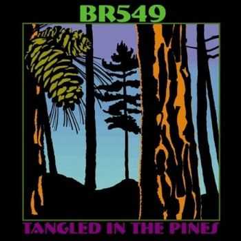 BR5-49 - Tangled In The Pines (2004) BR5-49 - Tangled In The Pines (2004)