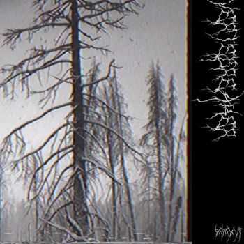 vertebreaker - MMXVI (2016) vertebreaker - MMXVI (2016)