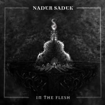 Nader Sadek - In The Flesh (2011)