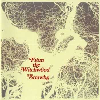 Strawbs - From the Witchwood (1971)