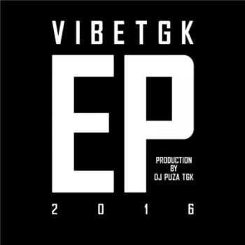 VibeTGK  EP2016