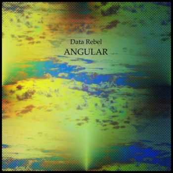 Data Rebel - Angular (2016)