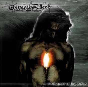Thine Eyes Bleed - In the Wake of Separation (2005) Thine Eyes Bleed - In the Wake of Separation (2005)