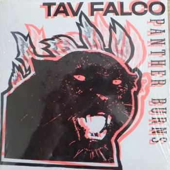 Tav Falco's Panther Burns - Panther 1 (1988)