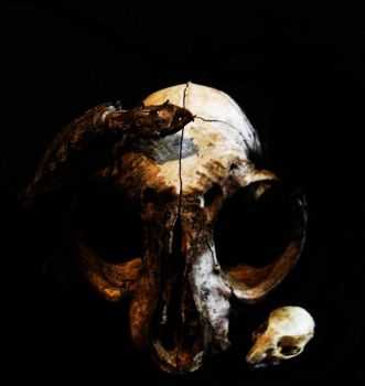 endform - Demo (2016) endform - Demo (2016)