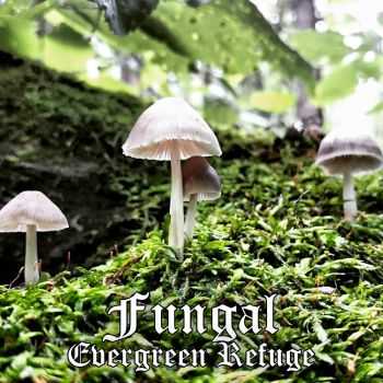 Evergreen Refuge - Fungal (2016)