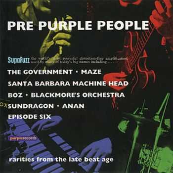 V/A - Pre Purple People: Rarities From The Late Beat Age (2001) Lossless