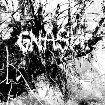 Gnash - Demo (2016) Gnash - Demo (2016)