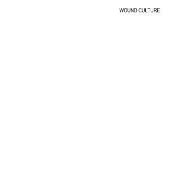Wound Culture - Demo (2016) Wound Culture - Demo (2016)