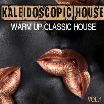VA - Kaleidoscopic House, Vol. 1 - Warm Up Classic House (2016)