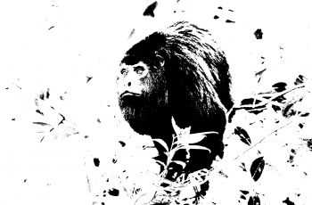 Alouatta - Alouatta (2016) Alouatta - Alouatta (2016)