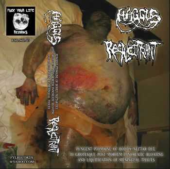 Haggus / Recalcitrant - split (2016) Haggus / Recalcitrant - split (2016)