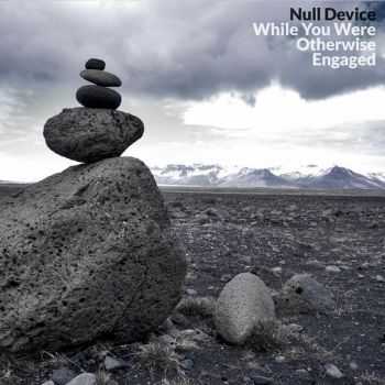  Null Device - While You Were Otherwise Engaged (2016)