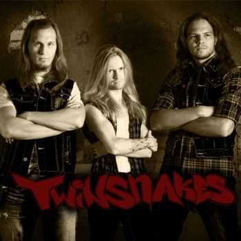 Twinsnakes - Twinsnakes (2016) Twinsnakes - Twinsnakes (2016)