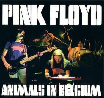 Pink Floyd - Animals In Belgium (1977)