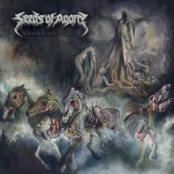 Seeds Of Agony - Morbid Reflections (2016) Seeds Of Agony - Morbid Reflections (2016)