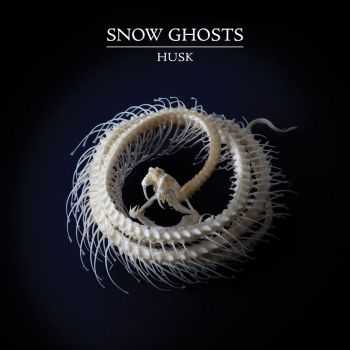 Snow Ghosts  Husk EP (2016)
