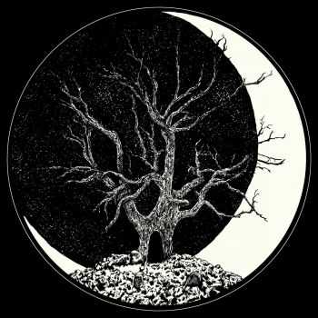 Dark Mother / Shrykull - Split [ep] (2016) 