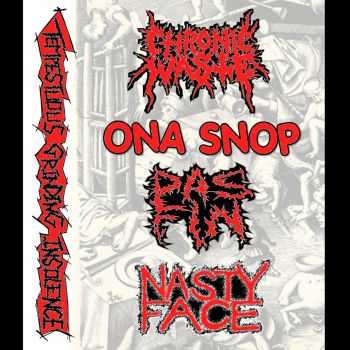 Chronic Waste / Ona Snop / Pas Fin / Nasty Face - Tempestuous Grinding Insolence 4 way split (2016)