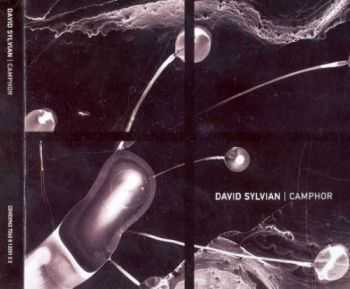 David Sylvian - Camphor (2002) [2CD Limited Edit.] Lossless
