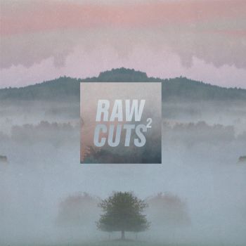 VA - Chillhop Raw Cuts 2 (2017)