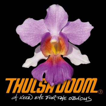 Thulsa Doom - A Keen Eye For The Obvious (2017)