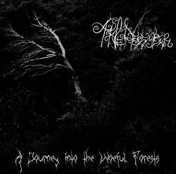 A Pale December - A Journey Into The Woeful Forests [demo] (2014)