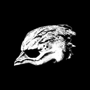 Legend Of The Seagullmen - Legend Of The Seagullmen (2018)