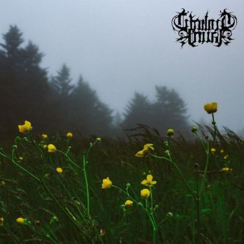 Twilight Fauna - Where Birds Sing My Name (2018)