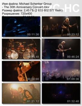 The Michael Schenker Group - The 30th Anniversary Concert: Live in Tokyo