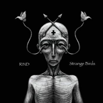 Rind - Strange Birds (2018)