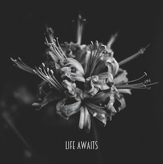 Life Awaits - Life Awaits [EP] (2016)