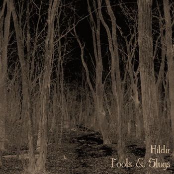 Hildir - Fools & Slugs (2019)