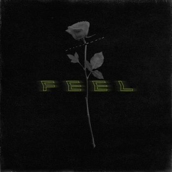 Perceptions - Feel (2019)