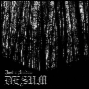 Desum - Just a Shadow (2019)